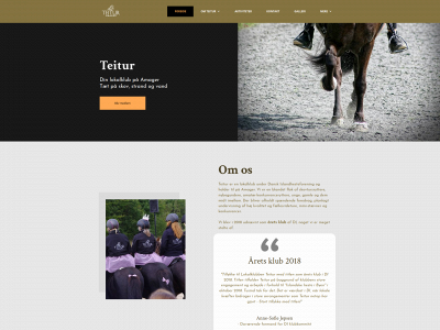teitur-amager.dk snapshot