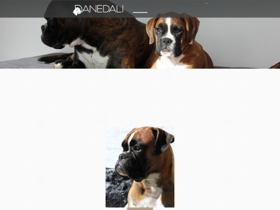 danedali.dk snapshot