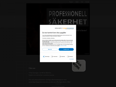 professionellsakerhet.com snapshot