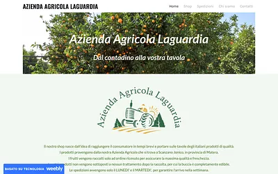 aziendalaguardia.weebly.com snapshot