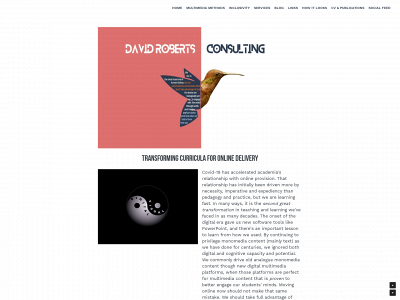davidrobertsconsulting.org snapshot