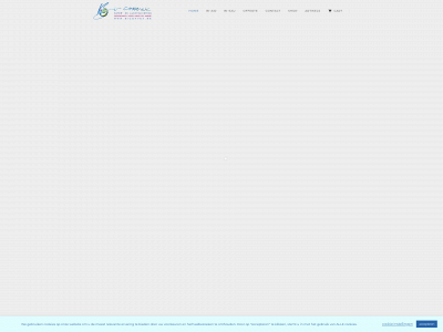 biconvex.be snapshot