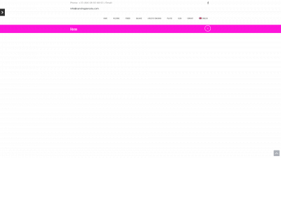 sandragiancola.com snapshot