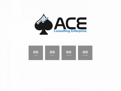 aceconsultingla.com snapshot
