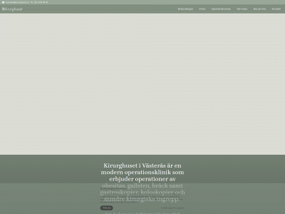kirurghuset.se snapshot