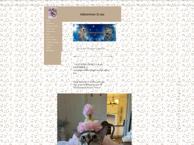 diamondhearts.info snapshot