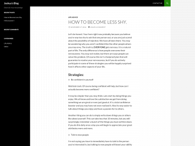 joshbirenzvige.com snapshot