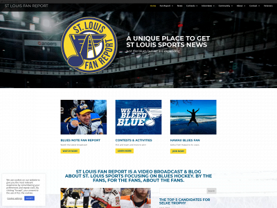 stlfanreport.com snapshot