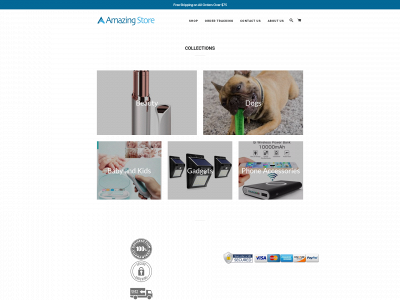 amazing-store.co snapshot