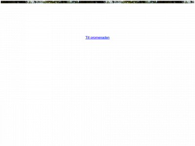 qrpromenad.se snapshot
