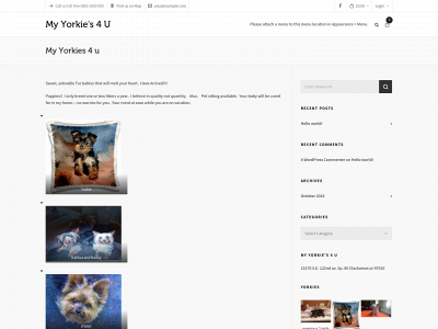 myyorkies4u.com snapshot