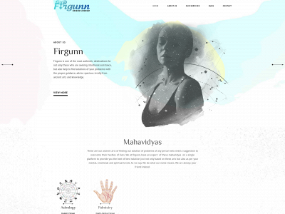 firgunn.com snapshot