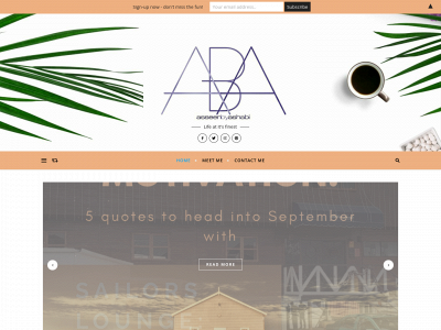 asseenbyashabi.com snapshot