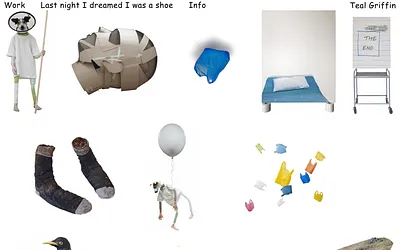 tealgriffin.com snapshot