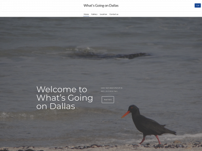 whatsgoingondallas.com snapshot