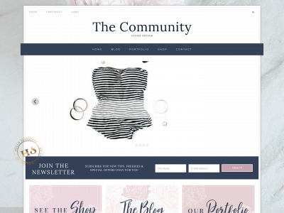 thecommunityco.co snapshot