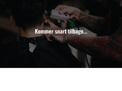 bloch-kristensen.dk snapshot