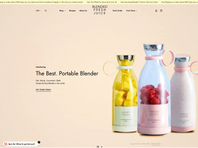 mynessesitie.com snapshot
