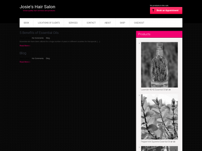 josiesalon.com snapshot