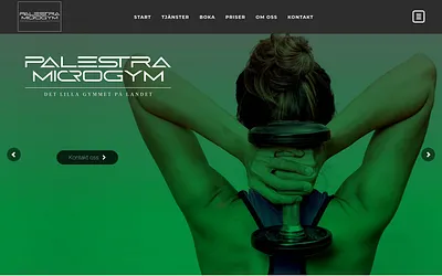 palestramicrogym.se snapshot