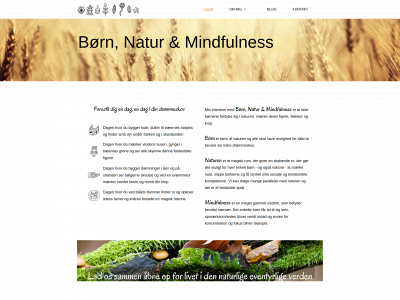 boernnaturmindfulness.dk snapshot