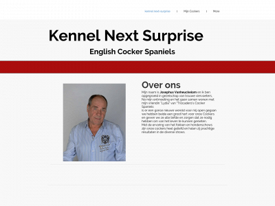 next-suprise.be snapshot