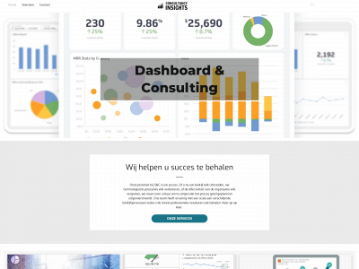consultancyinsights.nl snapshot