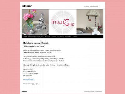 intenzijn.nl snapshot