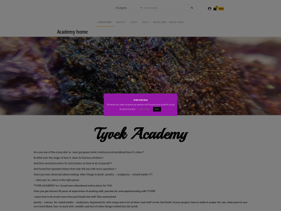 tyvek.academy snapshot