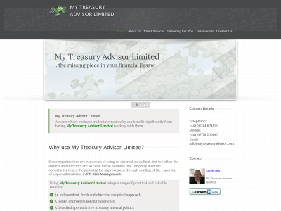 mytreasuryadvisor.com snapshot