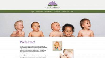 fertilitylawsite.com snapshot