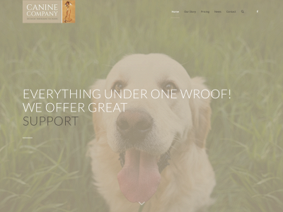 caninecompanydaycare.co.uk snapshot