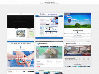 paruasprojects.com snapshot