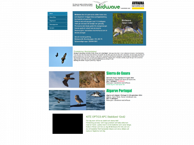 birdwave.se snapshot
