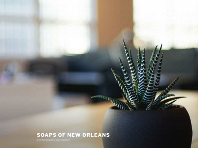 soapsofneworleans.com snapshot