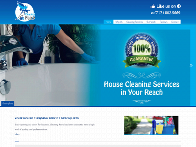 cleaningfairy.org snapshot