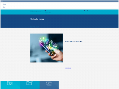 orlando1group.com snapshot