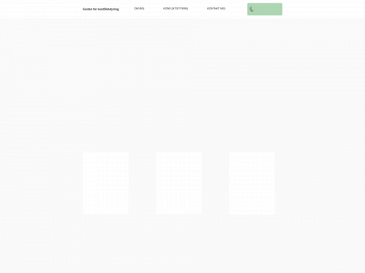 konfliktstyring.dk snapshot