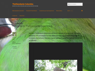 theviandante.com snapshot