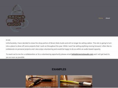 brownnoteaudio.com snapshot