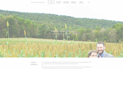 koseligproductions.com snapshot