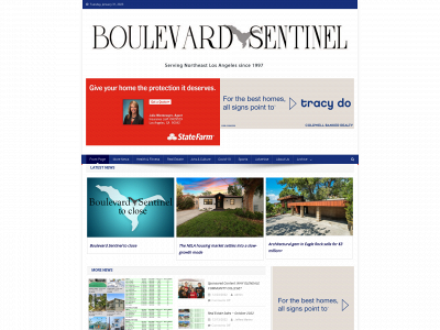 boulevardsentinel.com snapshot