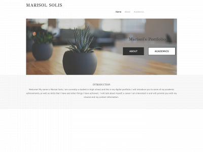 marisolsinfo.weebly.com snapshot