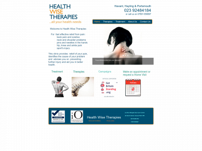 healthwisetherapies.co.uk snapshot