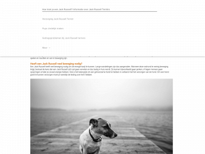 jackrusselltrainen.nl snapshot