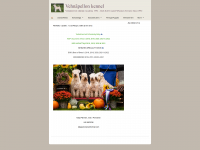 vehnapellon.fi snapshot