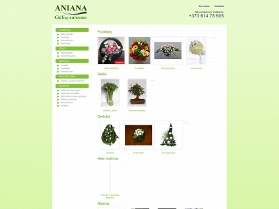 aniana.lt snapshot