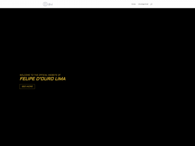 felipelimamma.com snapshot
