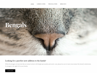 gemstatebengals.com snapshot