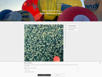 airballoon.lt snapshot